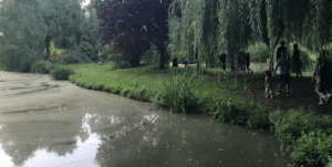 etang peche camping