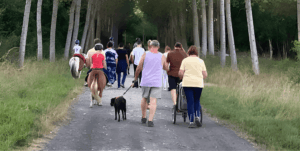 camping avec chien