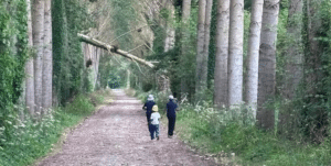 Balade forêt de Hez-Froidmont